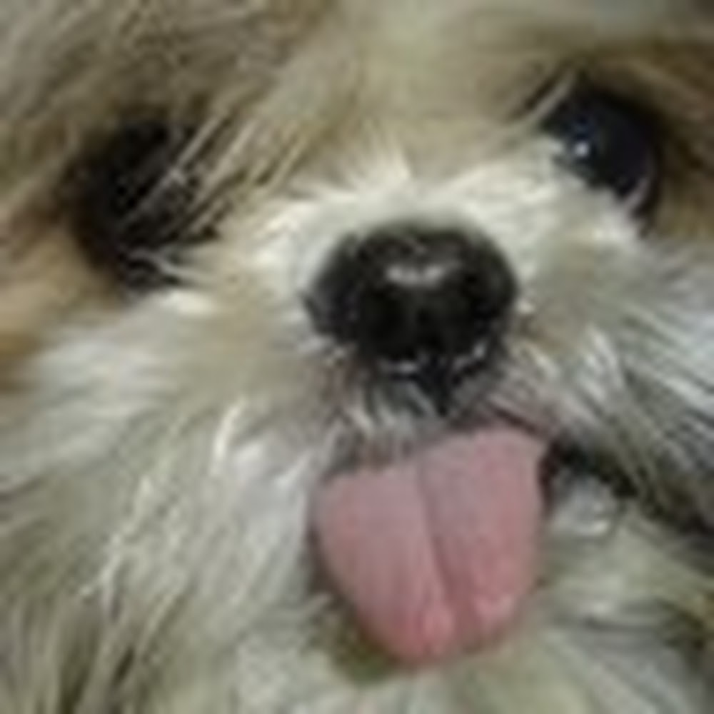 Meet your Posher, Negar